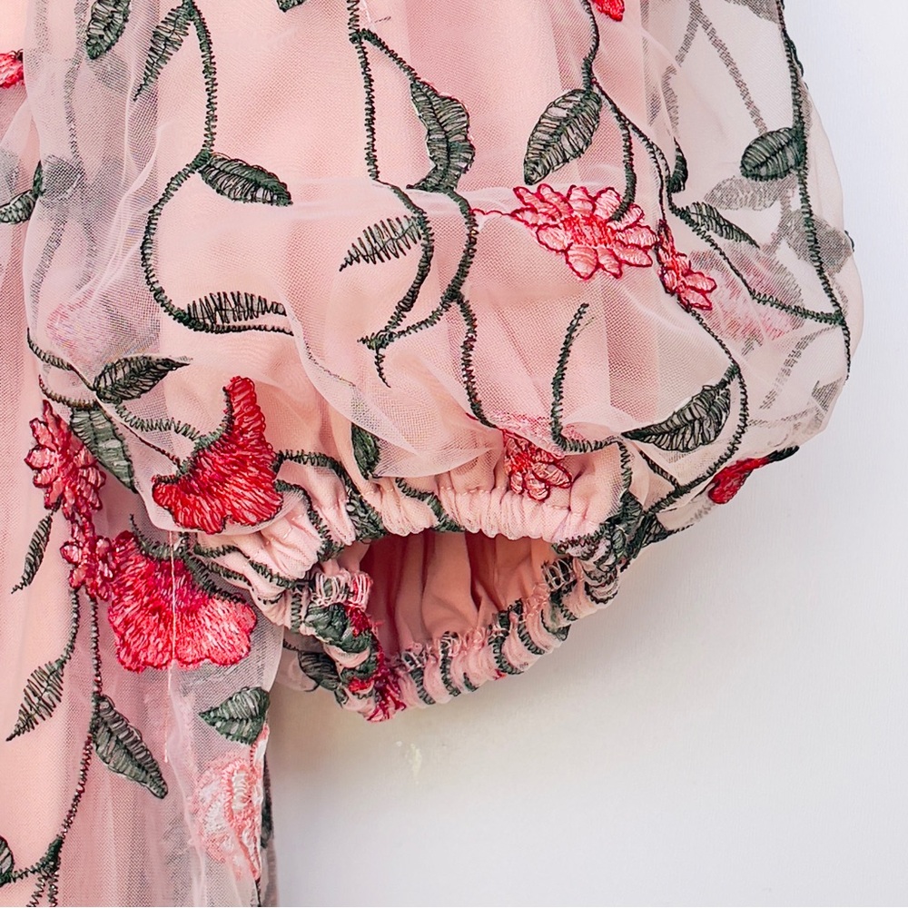 JessaKae Embroidered Holly Dress Blush Pink Tulle Floral 3/4 Sleeve V-Neck Lined - Picture 3 of 13